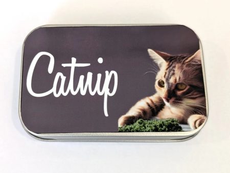 thecatboutiqueco- Catnip For Cheap