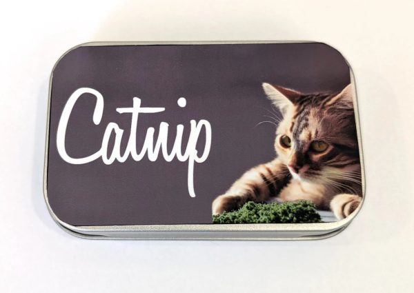 thecatboutiqueco- Catnip For Cheap