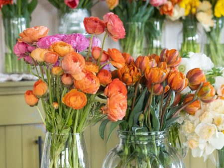 Seasonal Floral Experience: Spring Edition 2024 Online