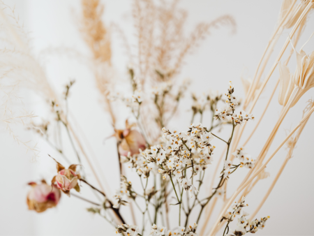 Seasonal Floral Experience: Dried Flowers January 2024 For Discount