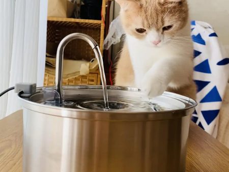 Dog & Cat Water Fountain Online now