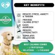 Hemp Calming Chews for Dogs Puppy Pet Separation Anxiety Relief Treats for Dog on Sale