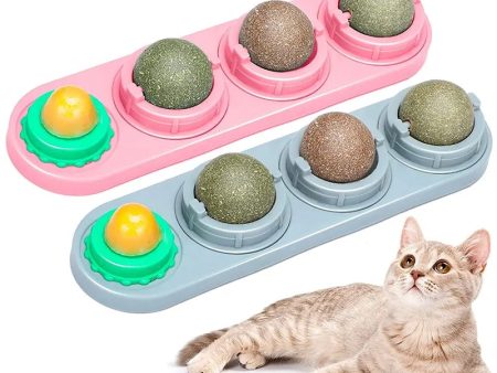 Catnip Wall Ball Toys For Cats on Sale