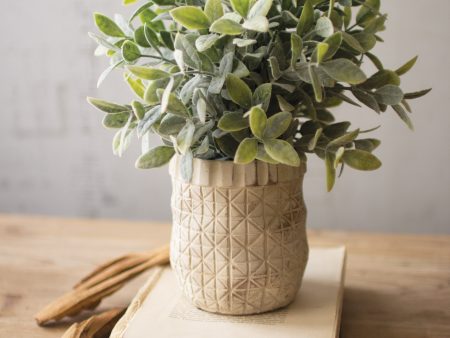 Artificial Sage With Criss Cross White Pot Discount