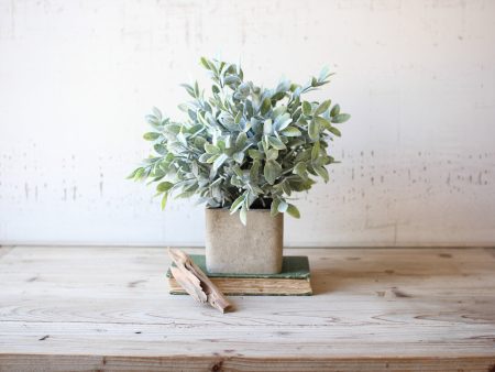 Artificial Sage Bush In A Square Pot Fashion