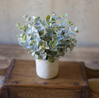 Artificial Boxwood With White Cement Pot Online Hot Sale