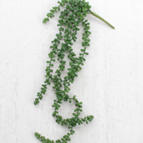 Artificial Necklace Fern Succulent Online Hot Sale