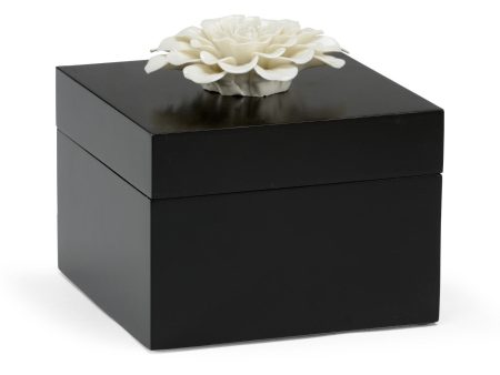 Zinnia Box Cheap