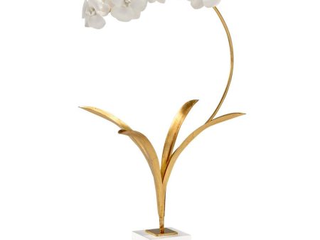 Small Orchid On Stand Sale