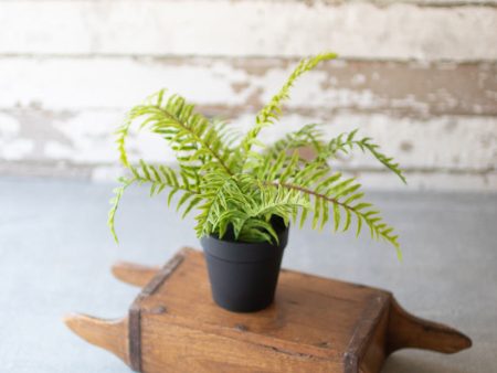 Artificial Potted Fern Fashion