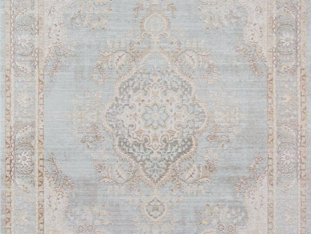 Isabella Turkish Machine Made Area Rug on Sale