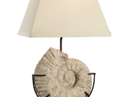 Ammonite Lamp on Sale