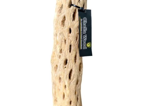 Galapagos Cactus Skeleton Cholla Wood Brown, 1 Each 24 in by Galapagos For Discount