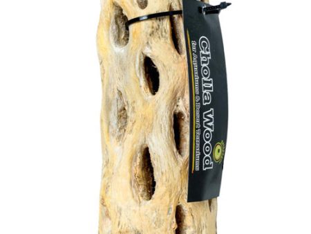 Galapagos Cactus Skeleton Cholla Wood Brown, 1 Each 12 in by Galapagos Online now